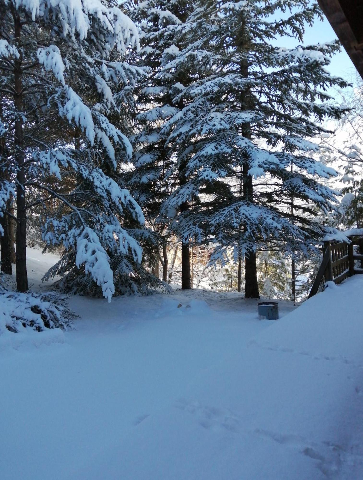 Willa L'Argousier Chalet 6 A 8 Personnes Enchastrayes Barcelonnette Zewnętrze zdjęcie